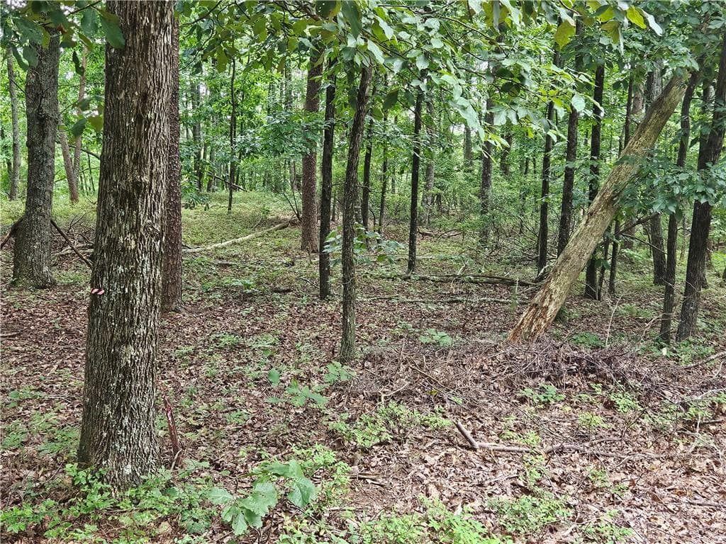single family residence for sale at 1467 Hanna Drive, Ranger, GA 30734 — photo 1 of 6