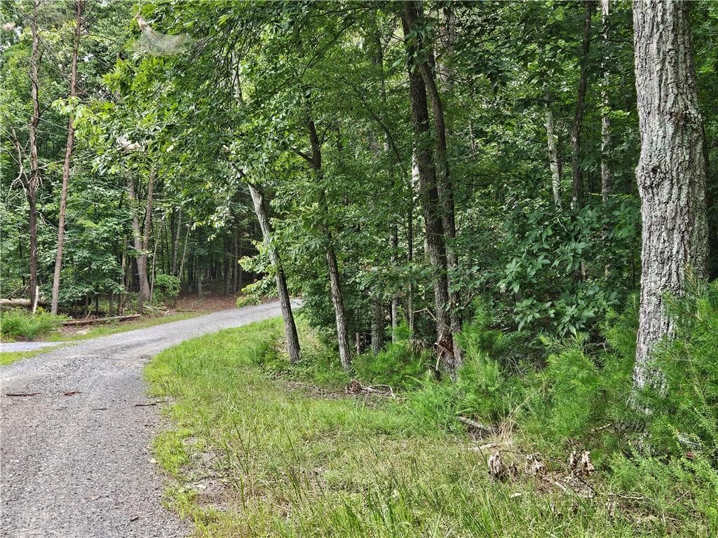 single family residence for sale at 1467 Hanna Drive, Ranger, GA 30734 — photo 6