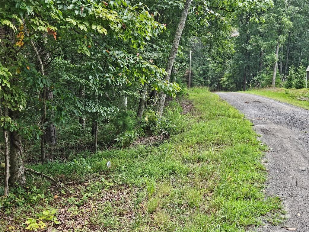 single family residence for sale at 1467 Hanna Drive, Ranger, GA 30734 — photo 3