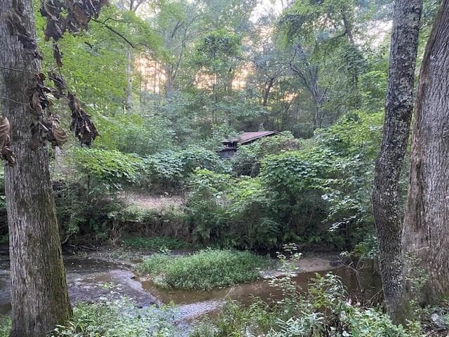 unimproved land for sale at 944 Muscovy Lane, Winder, GA 30680 — photo 2