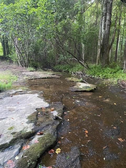 unimproved land for sale at 944 Muscovy Lane, Winder, GA 30680 — photo 4