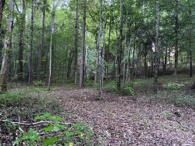 unimproved land for sale at 944 Muscovy Lane, Winder, GA 30680 — photo 5