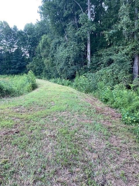 unimproved land for sale at 944 Muscovy Lane, Winder, GA 30680 — photo 8