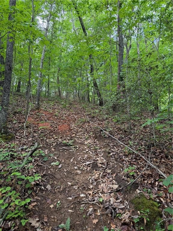single family residence for sale at 702 Windsor Estates Way, Canton, GA 30115 — photo 3