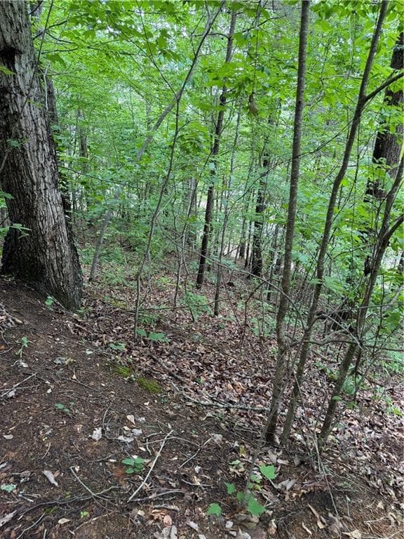 single family residence for sale at 702 Windsor Estates Way, Canton, GA 30115 — photo 4