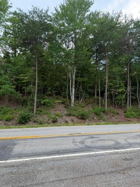 unimproved land for sale at 0 Hwy 52 West, Dahlonega, GA 30353 — photo 1 of 7
