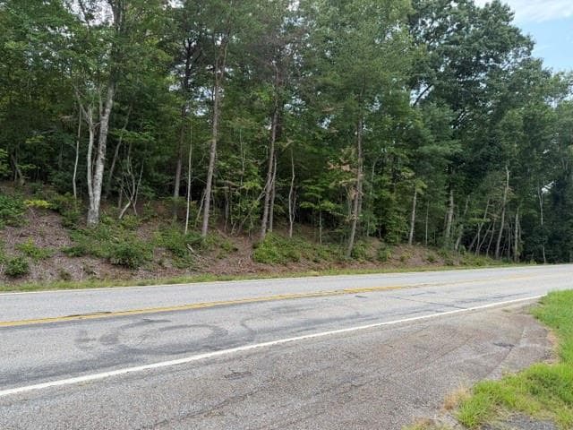 unimproved land for sale at 0 Hwy 52 West, Dahlonega, GA 30353 — photo 2