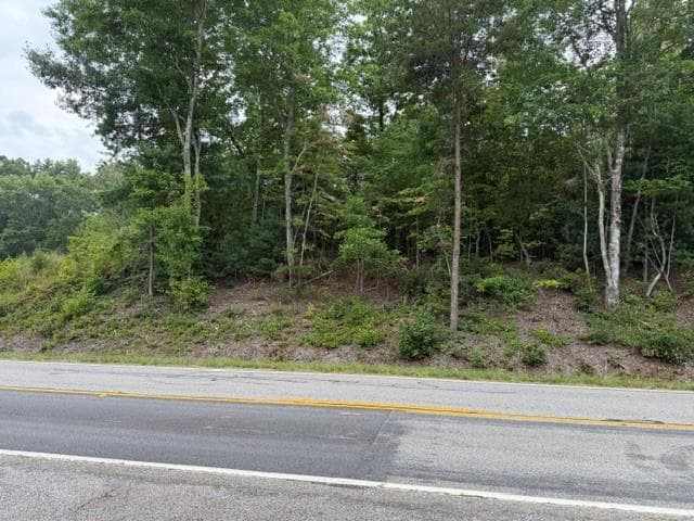 unimproved land for sale at 0 Hwy 52 West, Dahlonega, GA 30353 — photo 3