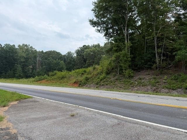 unimproved land for sale at 0 Hwy 52 West, Dahlonega, GA 30353 — photo 4