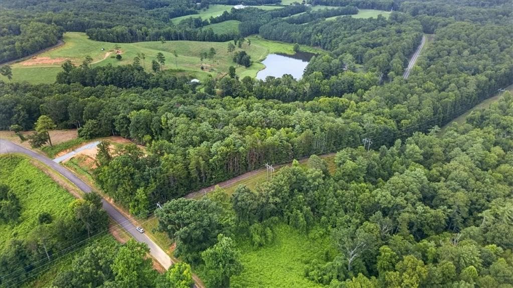 unimproved land for sale at 1395 Cowart Mountain Road, Jasper, GA 30143 — photo 4