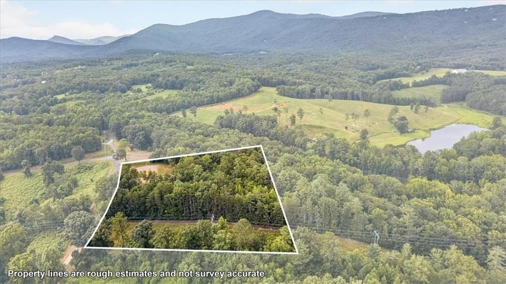 unimproved land for sale at 1395 Cowart Mountain Road, Jasper, GA 30143 — photo 5