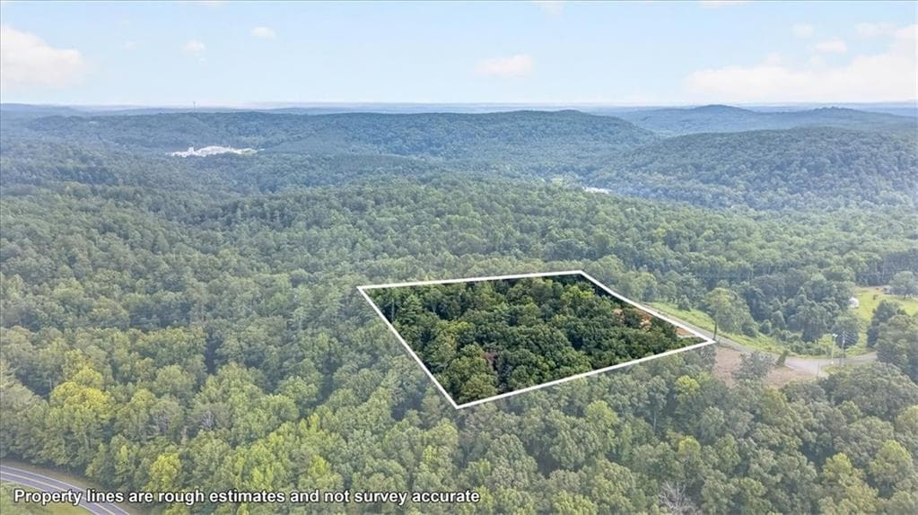 unimproved land for sale at 1395 Cowart Mountain Road, Jasper, GA 30143 — photo 8