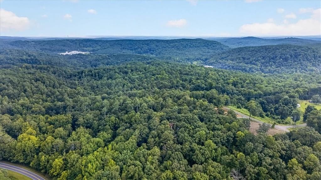 unimproved land for sale at 1395 Cowart Mountain Road, Jasper, GA 30143 — photo 9