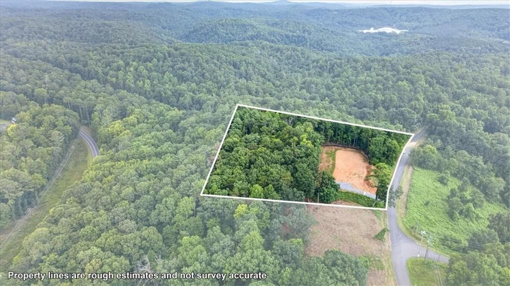 unimproved land for sale at 1395 Cowart Mountain Road, Jasper, GA 30143 — photo 10