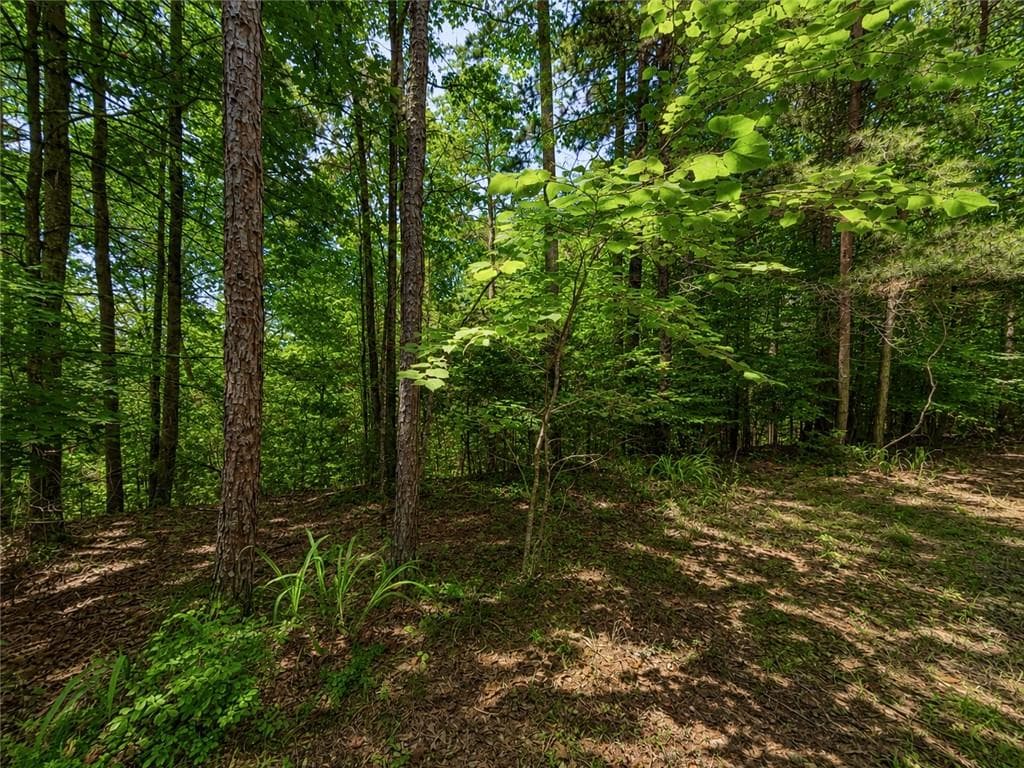 unimproved land for sale at 1652 Sable Court, Talking Rock, GA 30175 — photo 1 of 20