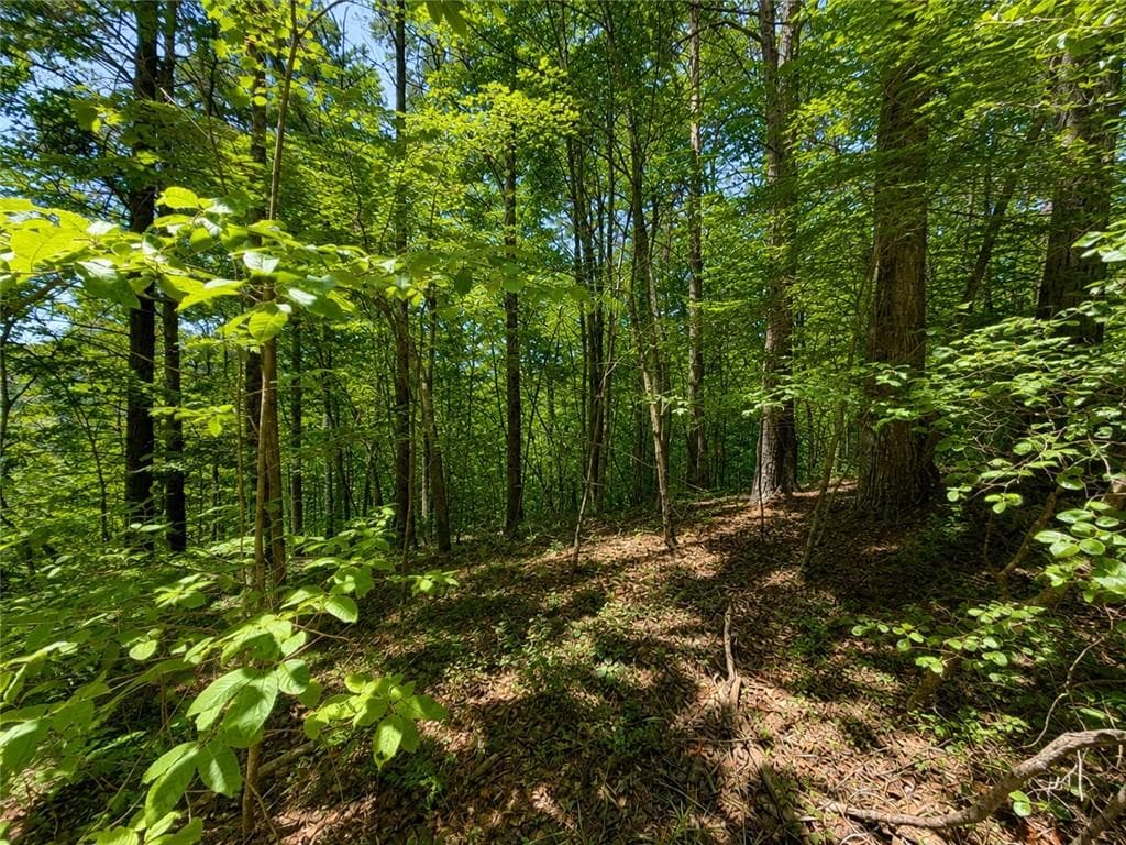 unimproved land for sale at 1652 Sable Court, Talking Rock, GA 30175 — photo 2