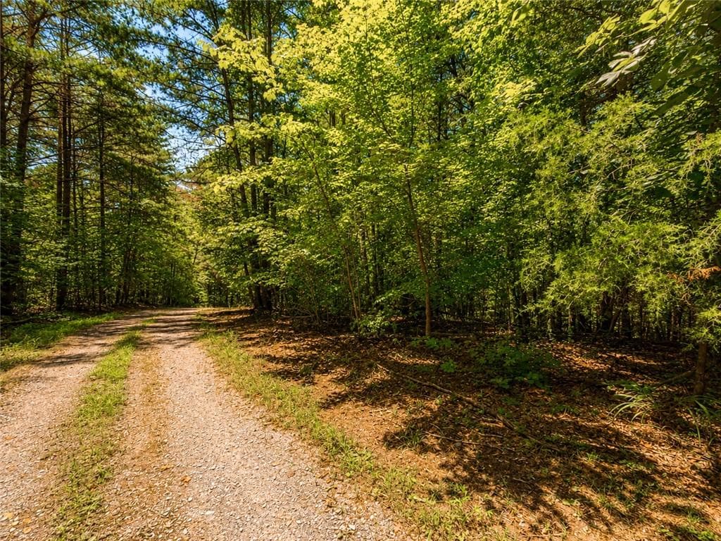 unimproved land for sale at 1652 Sable Court, Talking Rock, GA 30175 — photo 3