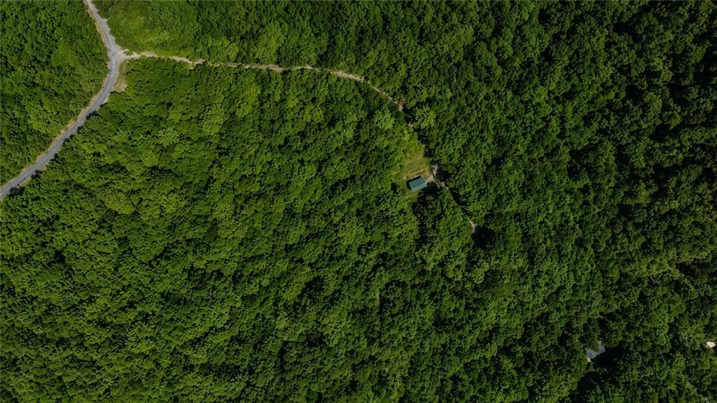 unimproved land for sale at 1652 Sable Court, Talking Rock, GA 30175 — photo 4