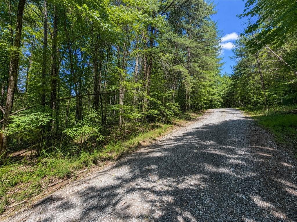 unimproved land for sale at 1652 Sable Court, Talking Rock, GA 30175 — photo 5