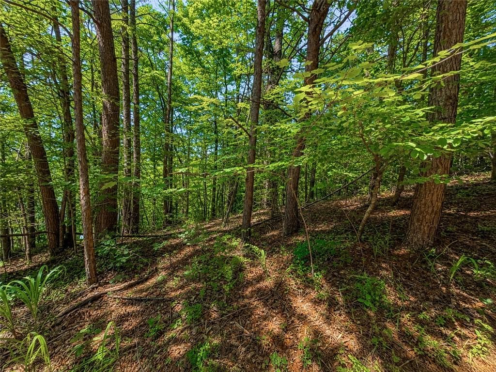 unimproved land for sale at 1652 Sable Court, Talking Rock, GA 30175 — photo 6