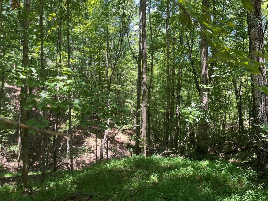 unimproved land for sale at 0 S Twin Oaks Drive, Ellijay, GA 30540 — photo 1 of 11
