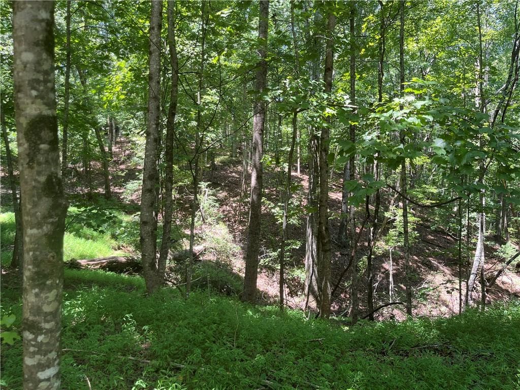 unimproved land for sale at 0 S Twin Oaks Drive, Ellijay, GA 30540 — photo 2