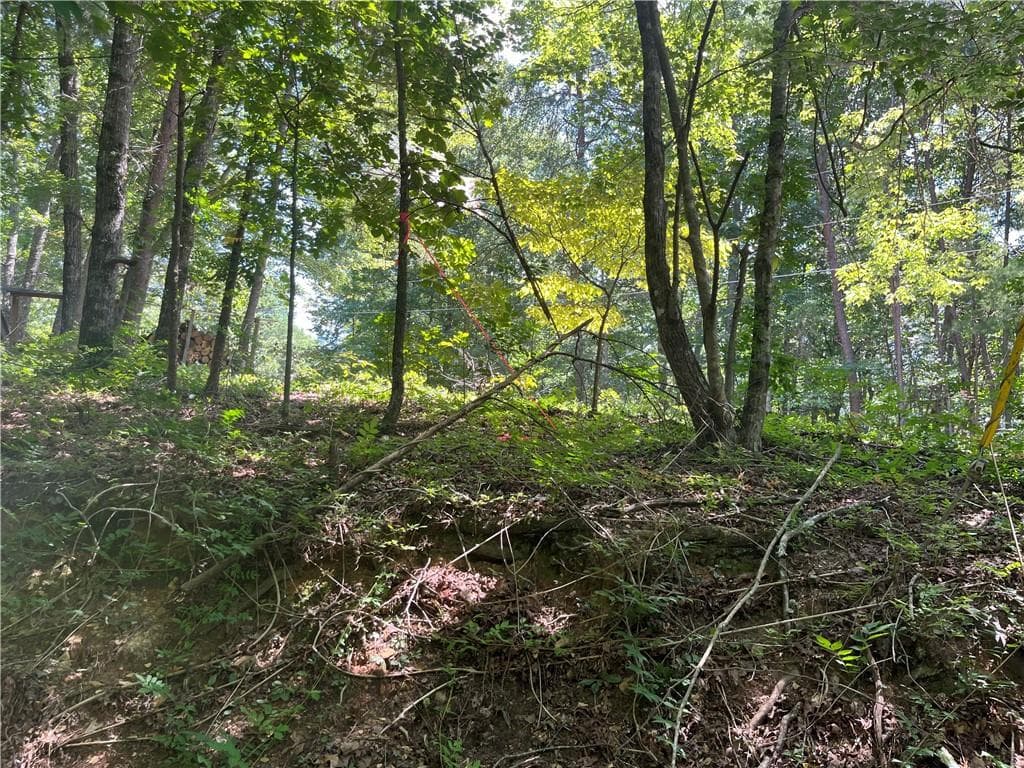 unimproved land for sale at 0 S Twin Oaks Drive, Ellijay, GA 30540 — photo 3