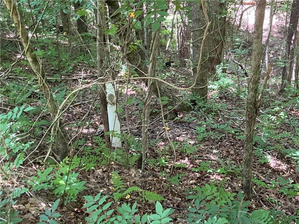 unimproved land for sale at 0 S Twin Oaks Drive, Ellijay, GA 30540 — photo 4