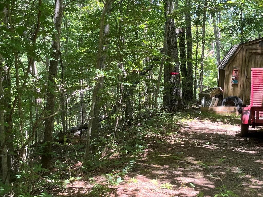 unimproved land for sale at 0 S Twin Oaks Drive, Ellijay, GA 30540 — photo 5