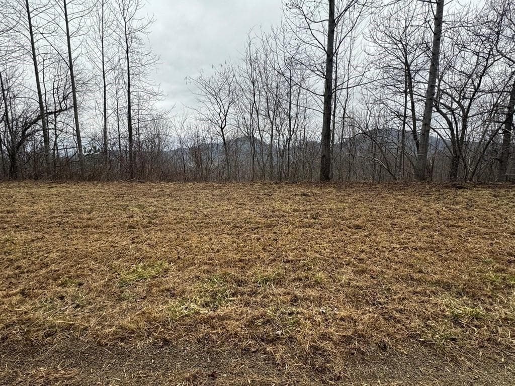 single family residence for sale at Lot 10 Chatuge Manor, Young Harris, GA 30582 — photo 2