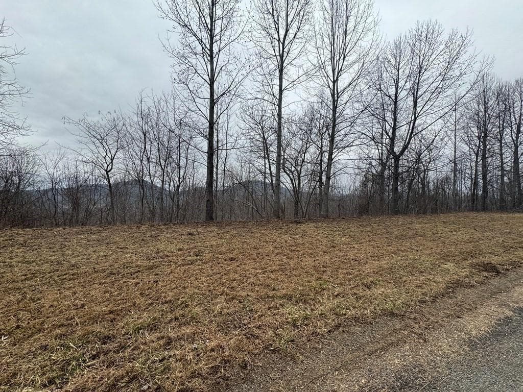 single family residence for sale at Lot 10 Chatuge Manor, Young Harris, GA 30582 — photo 4