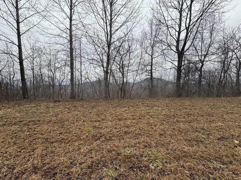 single family residence for sale at Lot 10 Chatuge Manor, Young Harris, GA 30582 — photo 6