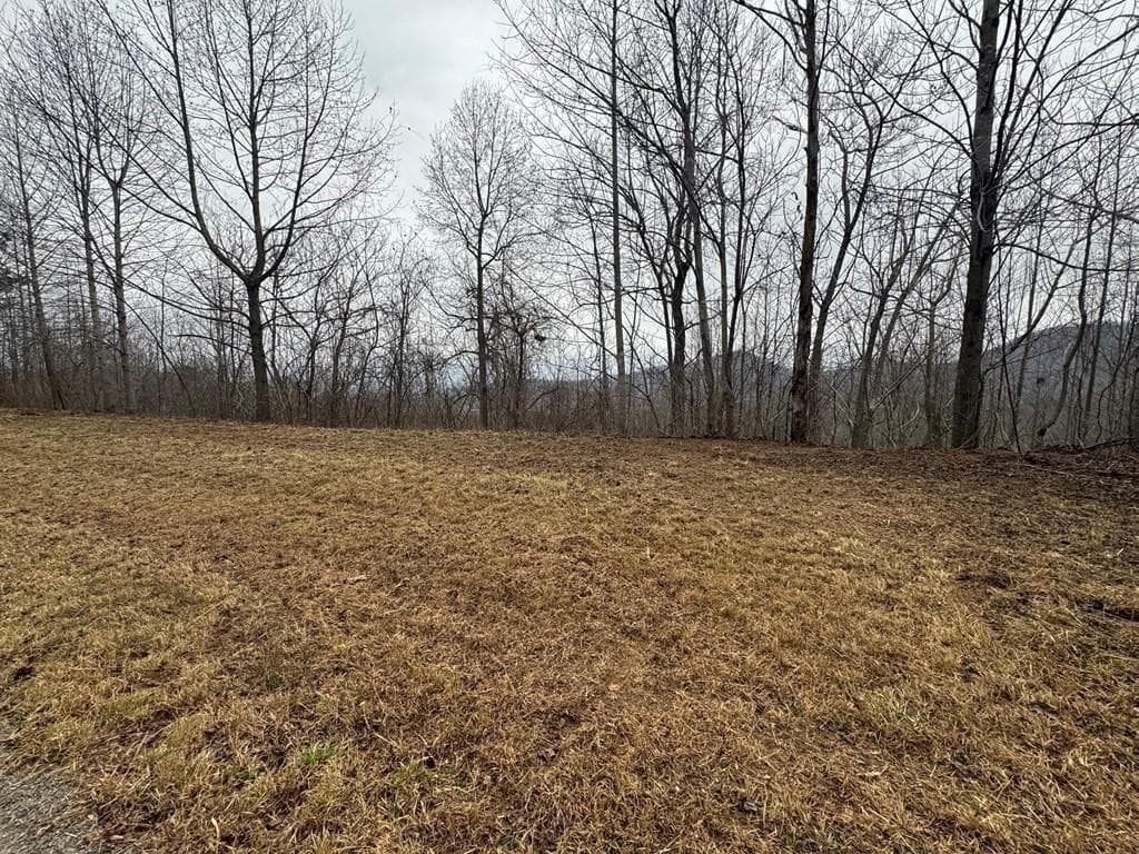 single family residence for sale at Lot 10 Chatuge Manor, Young Harris, GA 30582 — photo 7