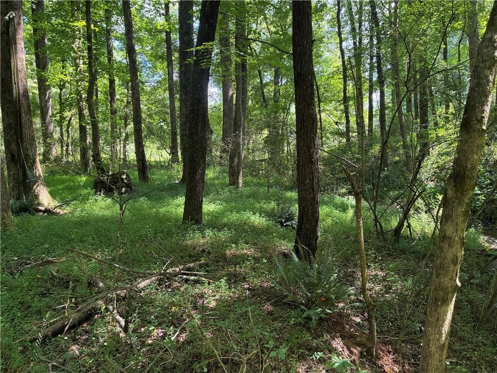 3 bedroom, 1 bathroom other for sale at 5420 Cantrell Road, Dawsonville, GA 30534 — photo 2