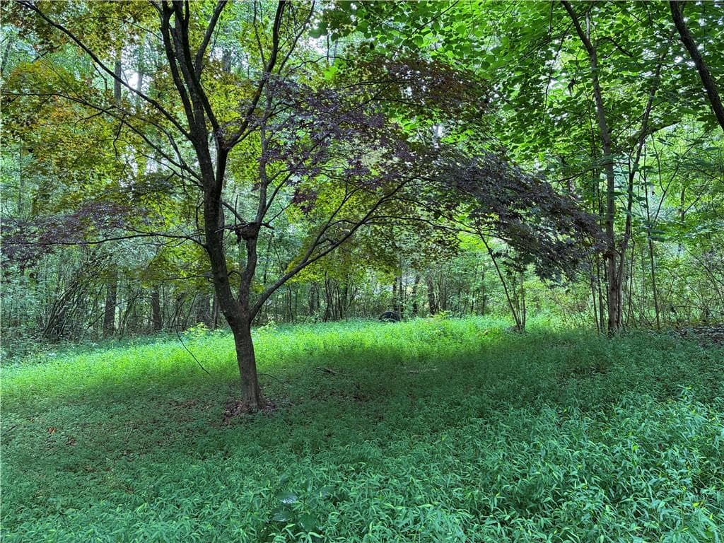 3 bedroom, 1 bathroom other for sale at 5420 Cantrell Road, Dawsonville, GA 30534 — photo 4