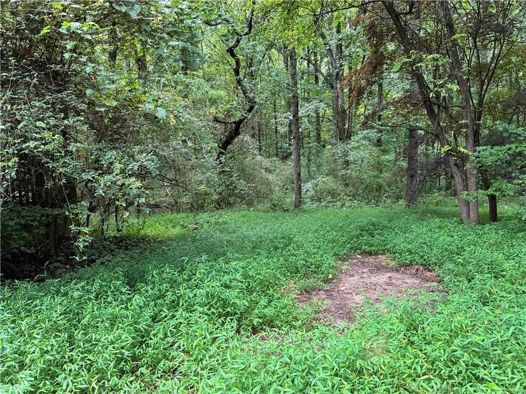 3 bedroom, 1 bathroom other for sale at 5420 Cantrell Road, Dawsonville, GA 30534 — photo 5