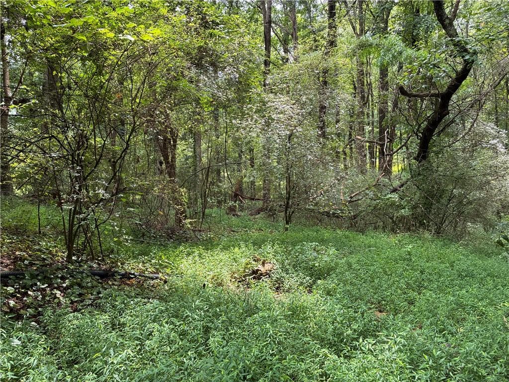 3 bedroom, 1 bathroom other for sale at 5420 Cantrell Road, Dawsonville, GA 30534 — photo 6