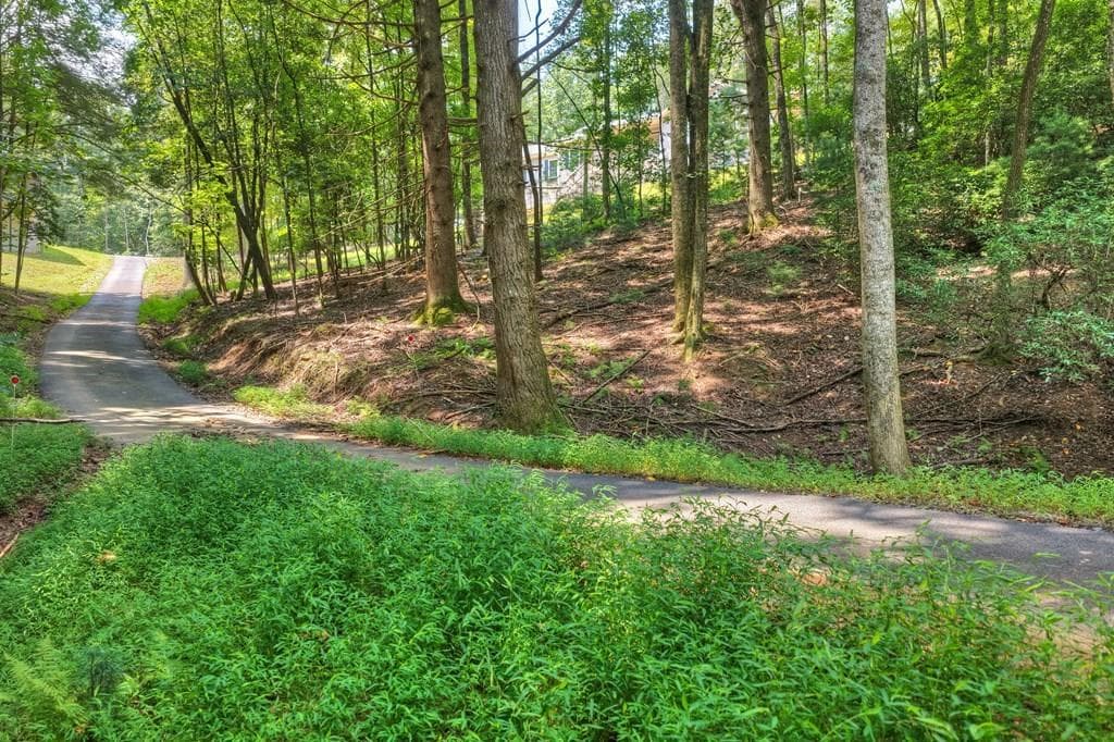 3 bedroom, 2 bathroom, 1,904 sq ft single family residence under contract at 607 Satsuma Court, Ellijay, GA 30540 — photo 3