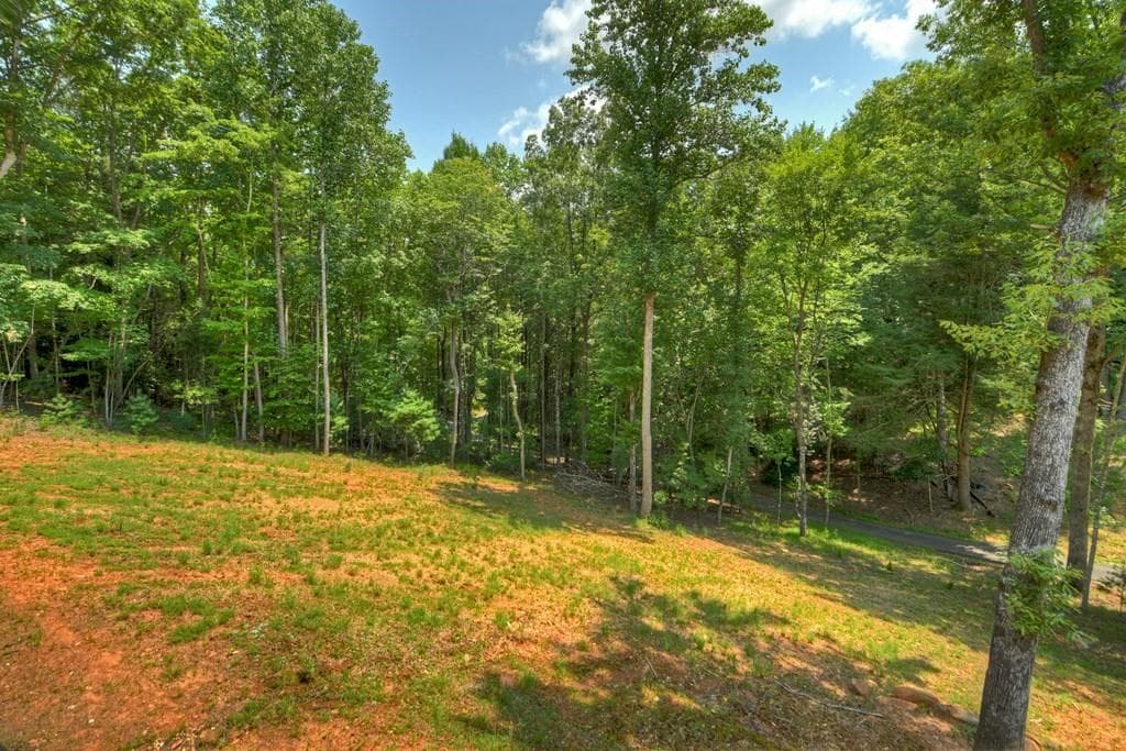 3 bedroom, 2 bathroom, 1,904 sq ft single family residence under contract at 607 Satsuma Court, Ellijay, GA 30540 — photo 4