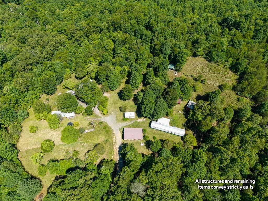 unimproved land for sale at 46 Green Kirby Lane, Blue Ridge, GA 30513 — photo 2