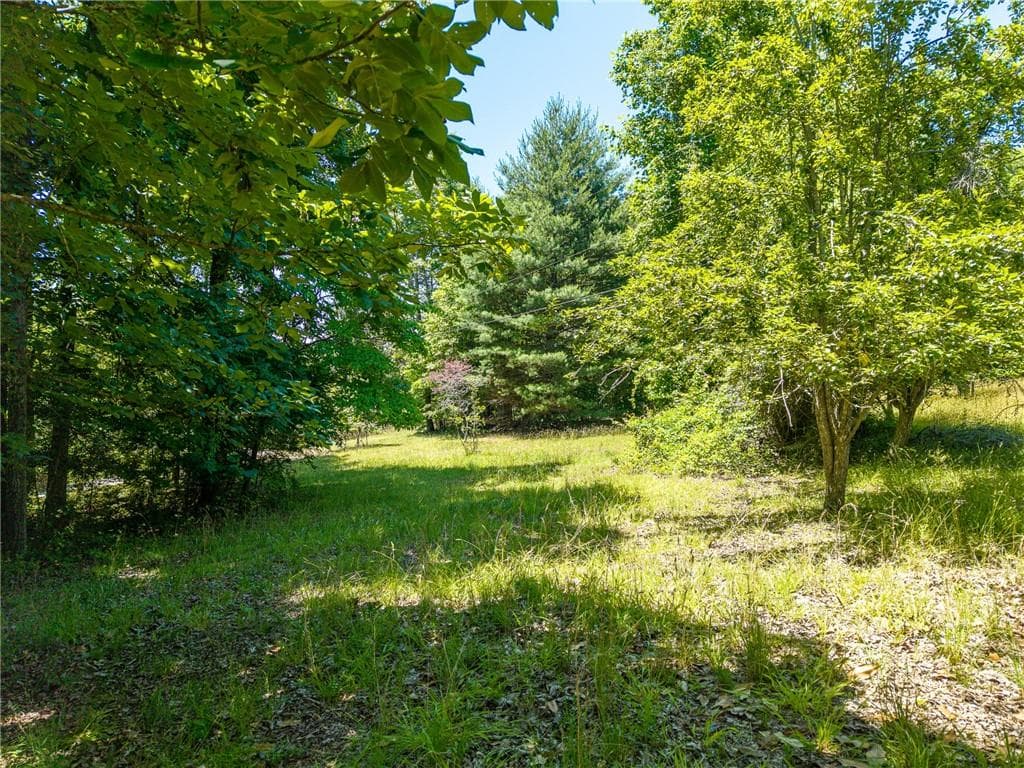 unimproved land for sale at 46 Green Kirby Lane, Blue Ridge, GA 30513 — photo 5