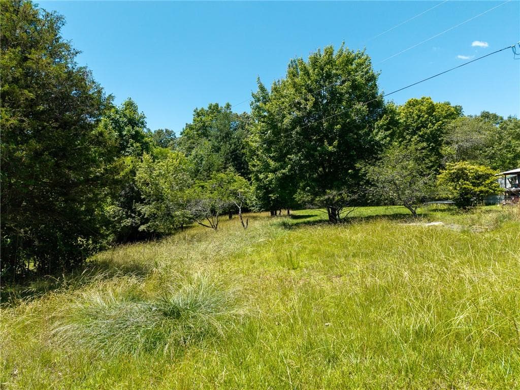 unimproved land for sale at 46 Green Kirby Lane, Blue Ridge, GA 30513 — photo 6