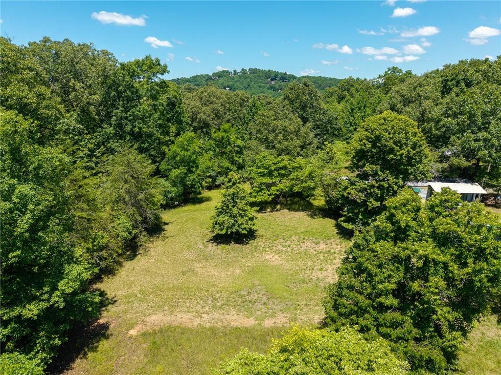 unimproved land for sale at 46 Green Kirby Lane, Blue Ridge, GA 30513 — photo 7