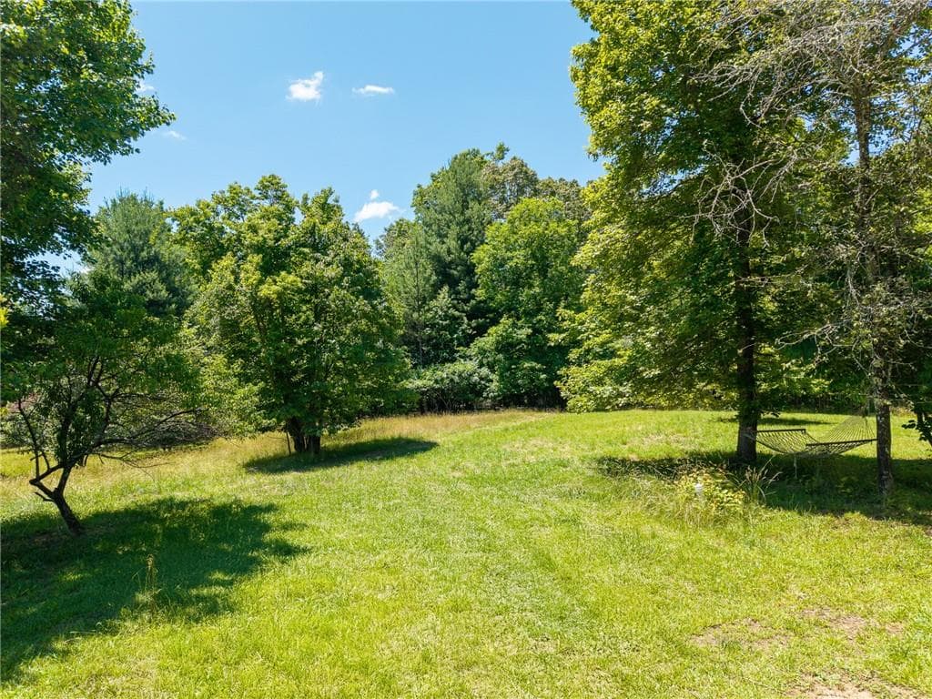 unimproved land for sale at 46 Green Kirby Lane, Blue Ridge, GA 30513 — photo 8