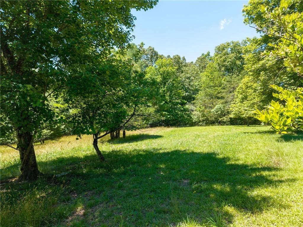 unimproved land for sale at 46 Green Kirby Lane, Blue Ridge, GA 30513 — photo 9