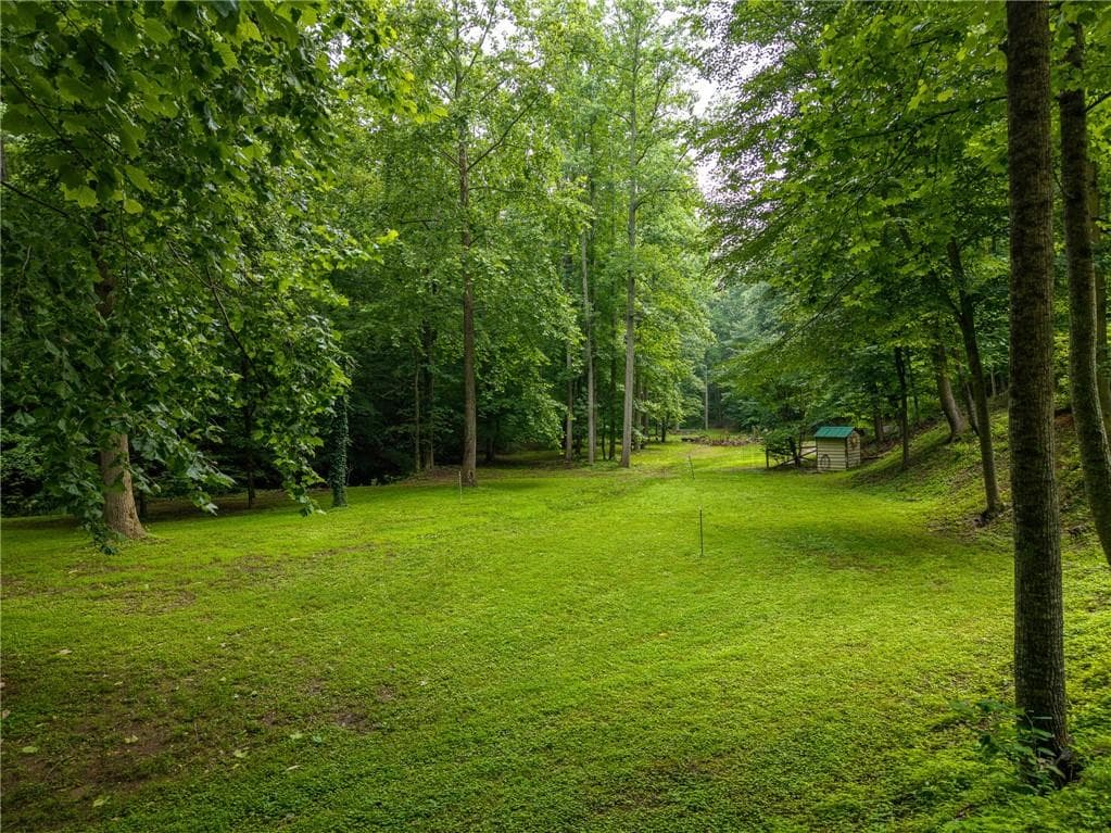 3 bedroom, 3 bathroom, 3,423 sq ft single family residence for sale at 1117 Rambling Road, Fairmount, GA 30139 — photo 4