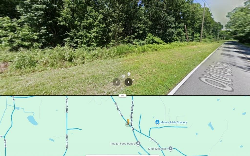 other for sale at 0 Joe Frank Harris Parkway, Adairsville, GA 30103 — photo 3