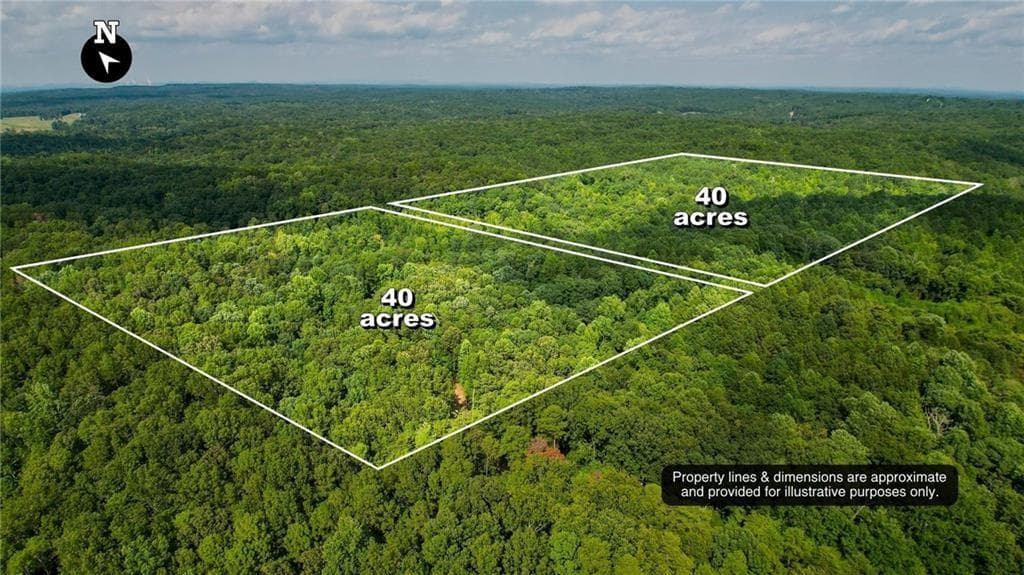 other for sale at 00 Nathan Dean Parkway, Rockmart, GA 30153 — photo 3