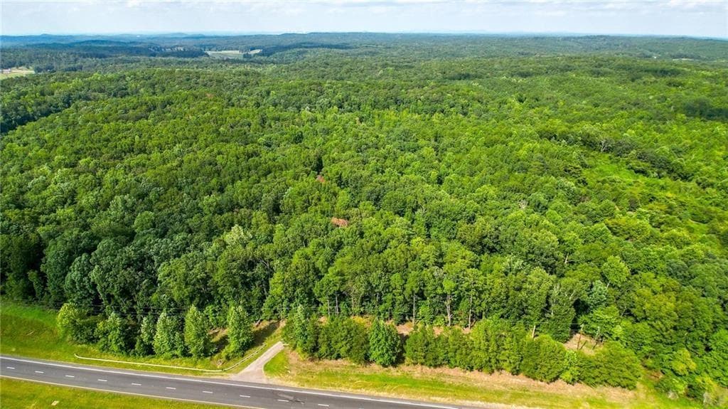 other for sale at 00 Nathan Dean Parkway, Rockmart, GA 30153 — photo 10