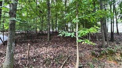 single family residence for sale at 63 Lakeshore Drive, Duluth, GA 30096 — photo 4